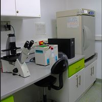 Laboratorio de Biología Celular - Investigación