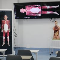 Laboratorio de Anatomía Clínica