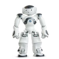 Robot Humanoide
