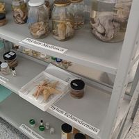 Museo de Ciencias Naturales