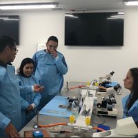 Laboratorio de Microbiología IMT