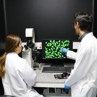 Laboratorio - Centro de Estudio de Enfermedades Autoinmunes (CREA)