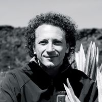Nicola Clerici