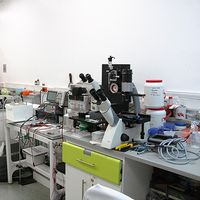 Laboratorio de Zoología - Investigación