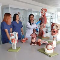 Laboratorio de Modelos Anatómicos