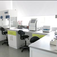 Laboratorio de Biología Molecular - Investigación
