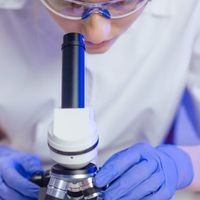 Microscopía 2