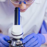 Laboratorio de Histología (microscopía)