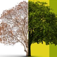 Instituto Rosarista para el Estudio del Envejecimiento y la Longevidad (IREEL)