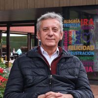 Juárez Acosta, Fernando