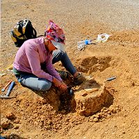 Grupo de Investigación Paleontología Neotropical Tradicional y Molecular - PaleoNeo
