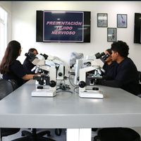 Microscopía 4