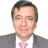 Salas Silva, Ricardo