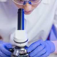 Microscopía 4