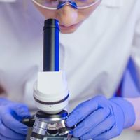 Microscopía 1
