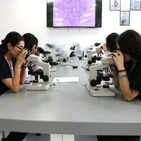 Microscopía 1