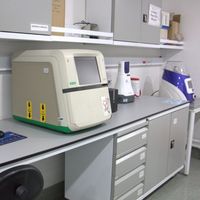 Laboratorio de Ciencias Naturales - Investigación