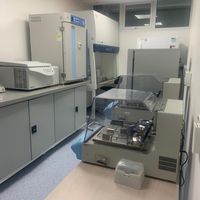 Laboratorio de investigación en neurociencia básica (NeURos)
